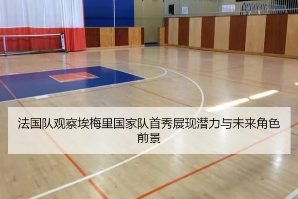 法国队观察埃梅里国家队首秀展现潜力与未来角色前景